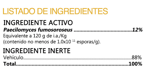 BIOFACEFPWEB