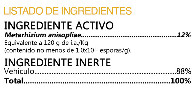 BIOMETTPWEB